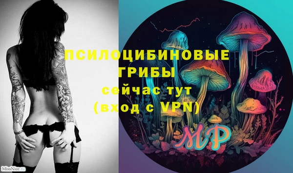 ешки Алексеевка