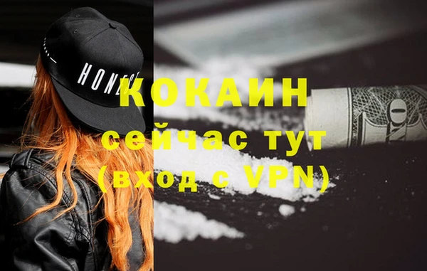 соль ск Няндома