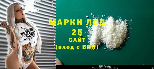 индика Нязепетровск